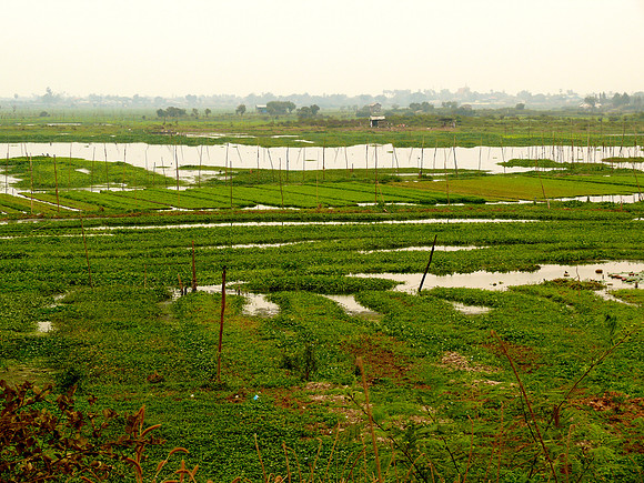 Rural Cambodia