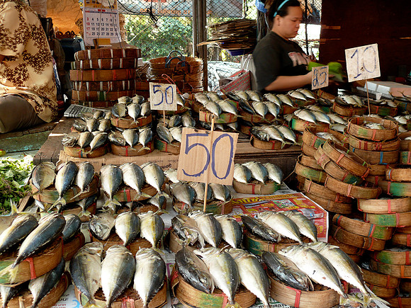 Dried Fish For Sale