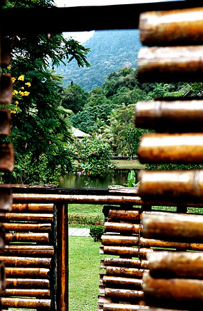 Beautiful Borneo