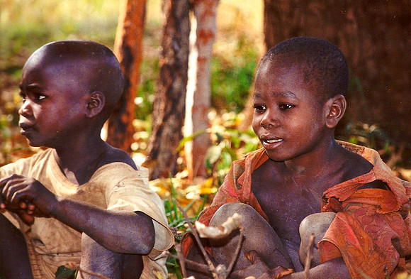 Cameroun Rainforest