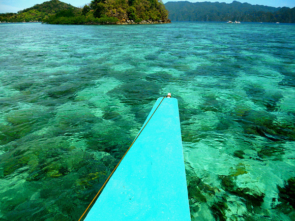 Coral Gardens From Above, Coron