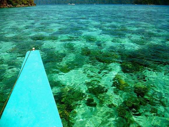 Coral Gardens From Above, Coron