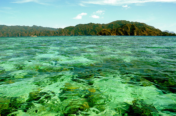 Coral Gardens From Above, Coron