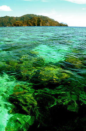 Coral Gardens From Above, Coron