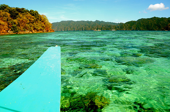 Coral Gardens From Above, Coron