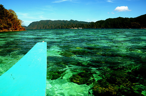 Coral Gardens From Above, Coron