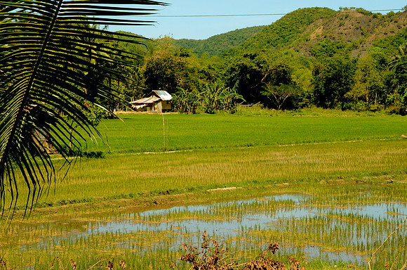 Rural Busuanga
