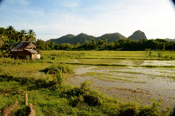 Rural Busuanga