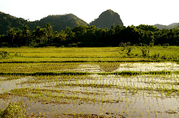 Rural Busuanga