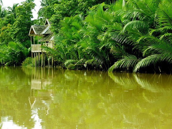 Loboc River, Bohol