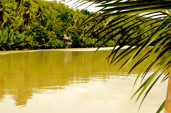 Loboc River, Bohol