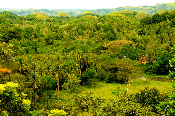 Chocolate Hills, Bohol