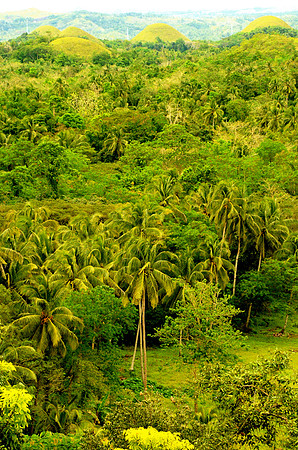 Chocolate Hills, Bohol