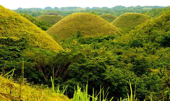 Chocolate Hills, Bohol