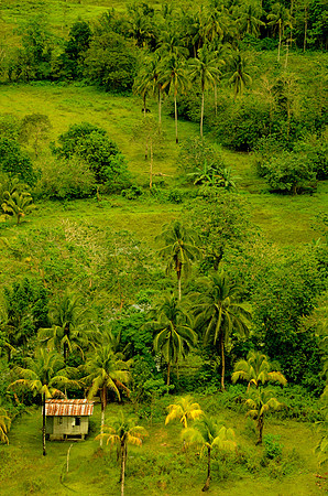 Beautiful Bohol