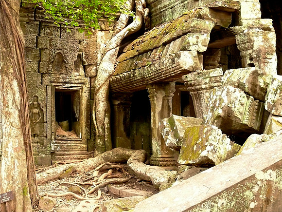 Ta Prohm Temple