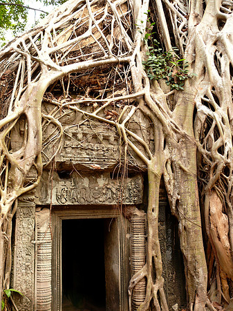 Ta Prohm Temple