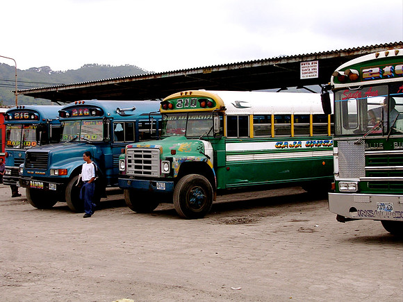 Local Buses