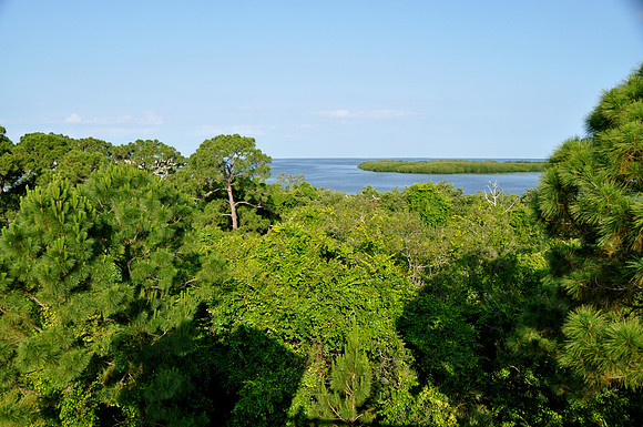 Wall Springs Park