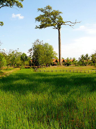 Rural Cambodia
