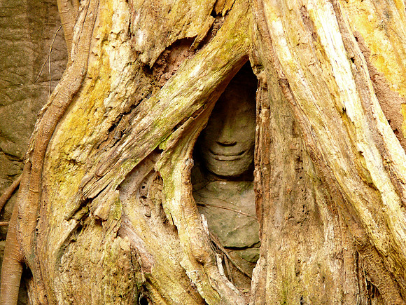 Ta Prohm Temple