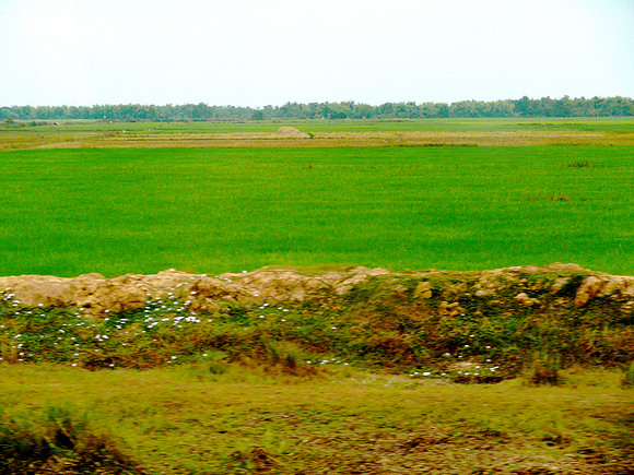 Rural Cambodia