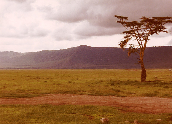 Ngorongoro Crater, Tanzania
