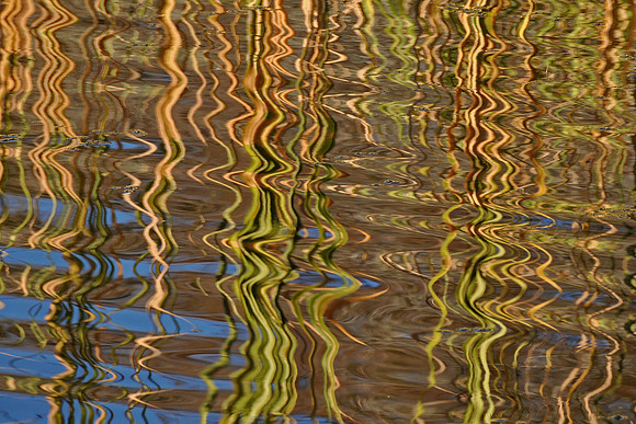 Ripple