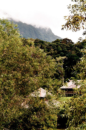 Beautiful Borneo