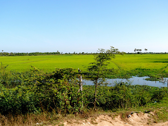 Rural Cambodia