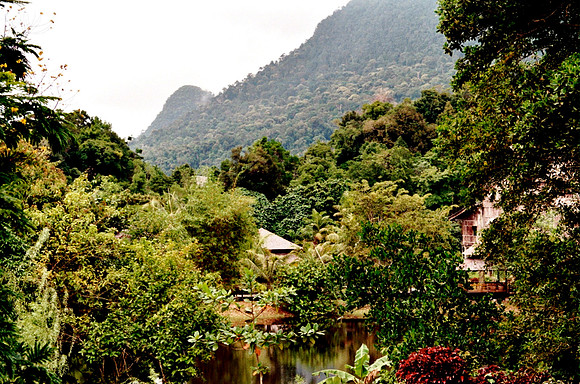 Beautiful Borneo