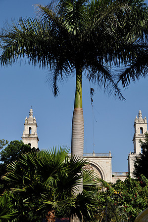 Mérida Cathedral