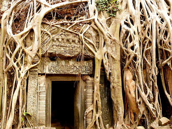 Ta Prohm Temple