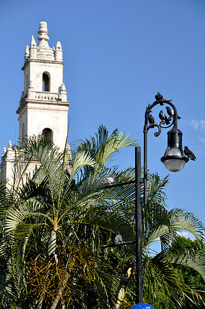 Mérida