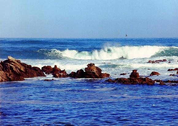 Indian/Atlantic Oceans Meet, Cape Agulhas, Southernmost Point Of Africa