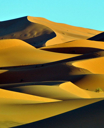 Sahara Desert