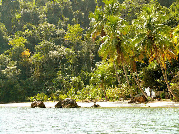 Coastline Around Paraty