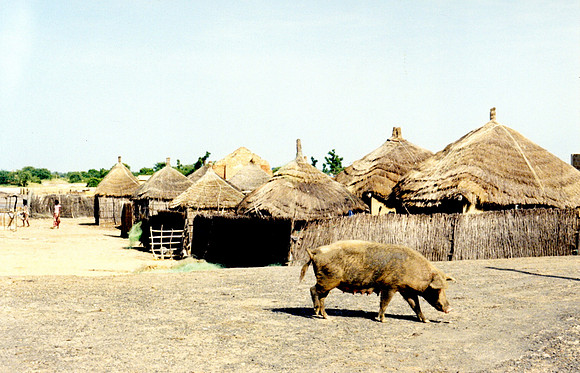 Foundiougne, Senegal