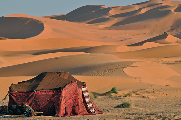 Sahara Desert