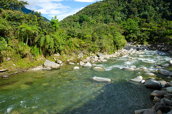 Baños