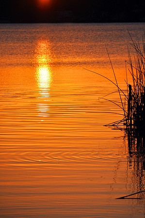 Evening Light