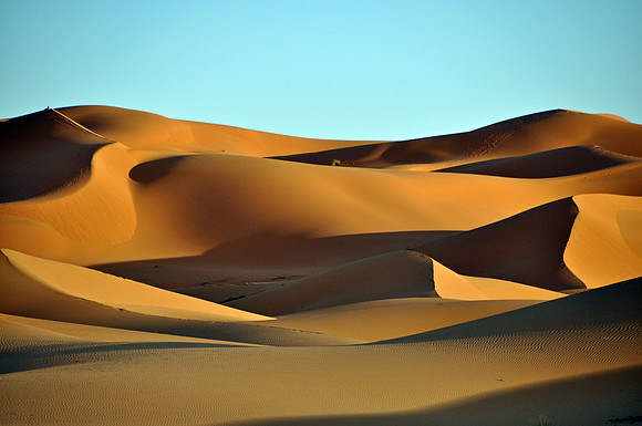 Sahara Desert