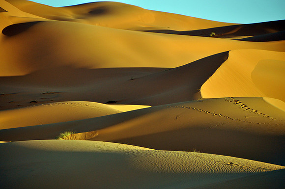 Sahara Desert