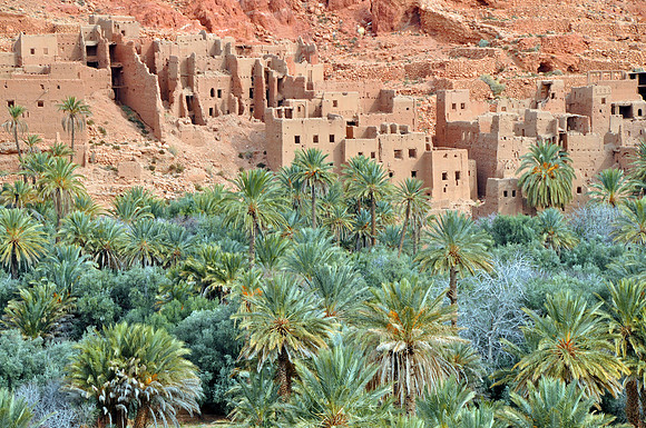 Abandoned Oasis Village
