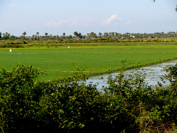 Rural Cambodia