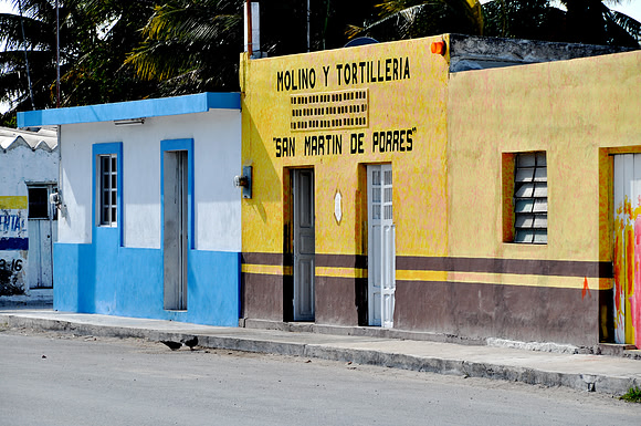 Chuburná Puerto