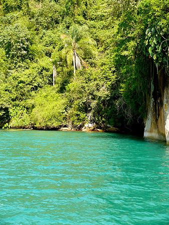 Coastline Around Paraty