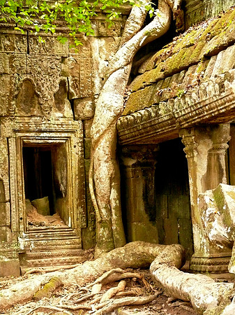 Ta Prohm Temple