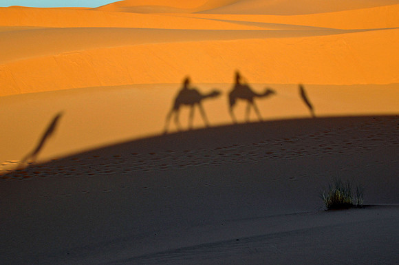 Sahara Desert