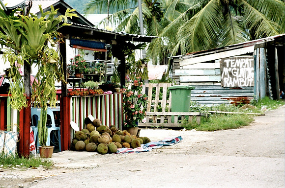 Durian Fruit For Sale